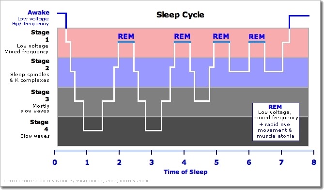 Sleep Cycle - Gráfico mostrando os estágios do sono
